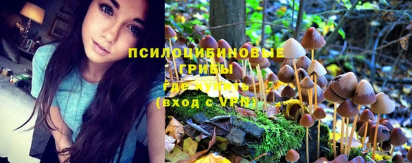 прущая мука Белоозёрский