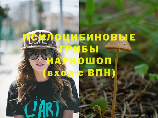 спиды Беломорск