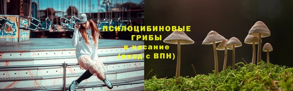 спиды Беломорск